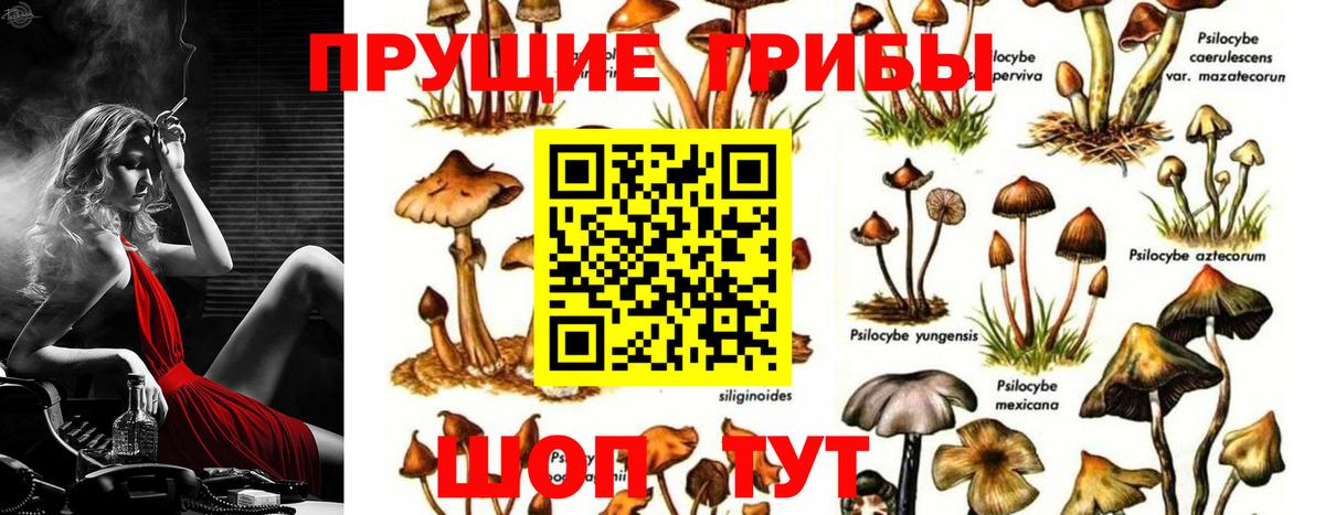Семёнов  Галлюциногенные грибы прущие грибы  Вход с VPN 