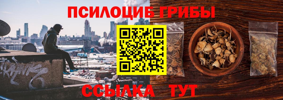Псилоцибиновые грибы GOLDEN TEACHER Семёнов